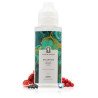 E-liquide Atlantide 100ml Cloud Empire - Fuu