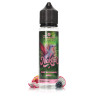 E-liquide Fruit du Dragon Mûre 50ml Nektar - Le French Liquide