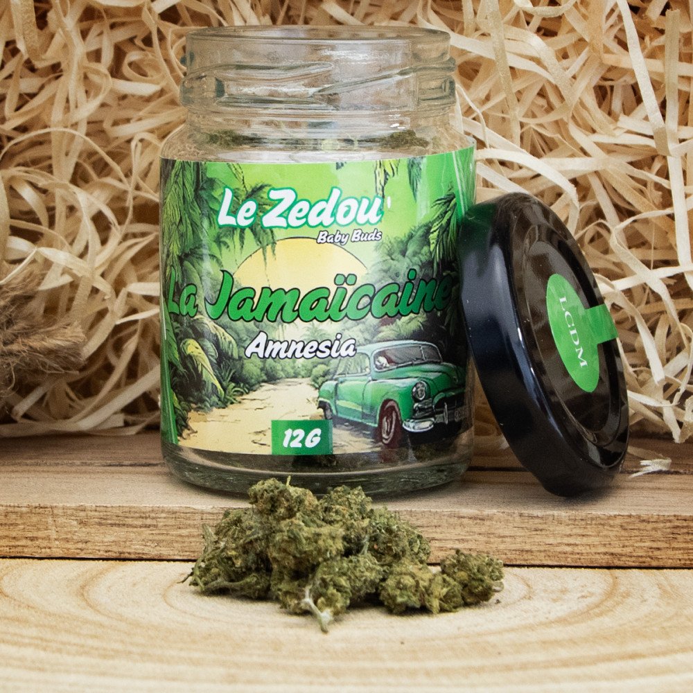 Fleurs de CBD La Jamaïcaine "Amnesia" - Le Zedou