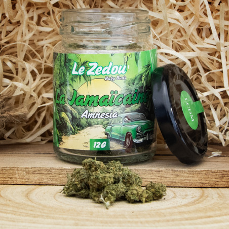 Fleurs de CBD La Jamaïcaine "Amnesia" - Le Zedou