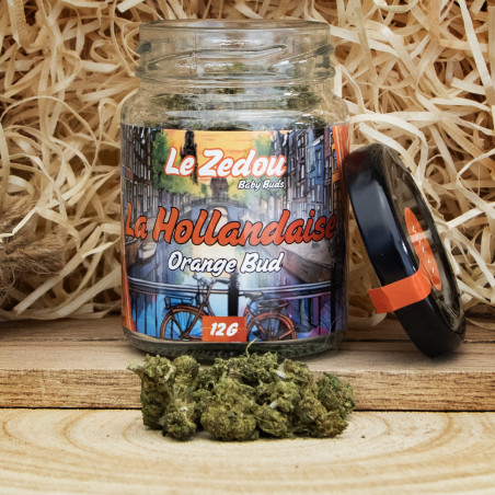 Fleurs de CBD La Hollandaise "Orange Bud" - Le Zedou