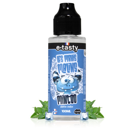 E-liquide Mintoo 100ml Les Maxis Malins - E.Tasty