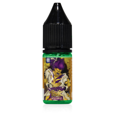 E-liquide Ushiro Sel de Nicotine Fighter X - Fighter Fuel