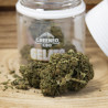 Fleurs de CBD Gelato  - Greeneo